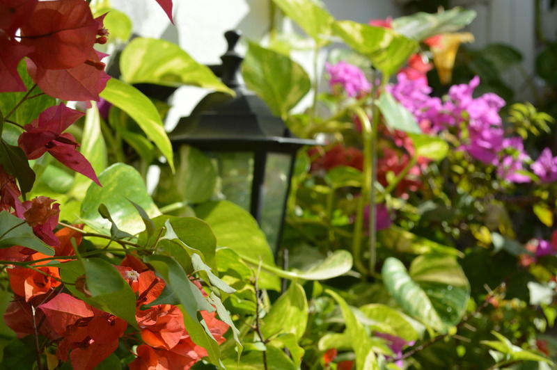 Casa Mary Hotel Cartagena Luaran gambar