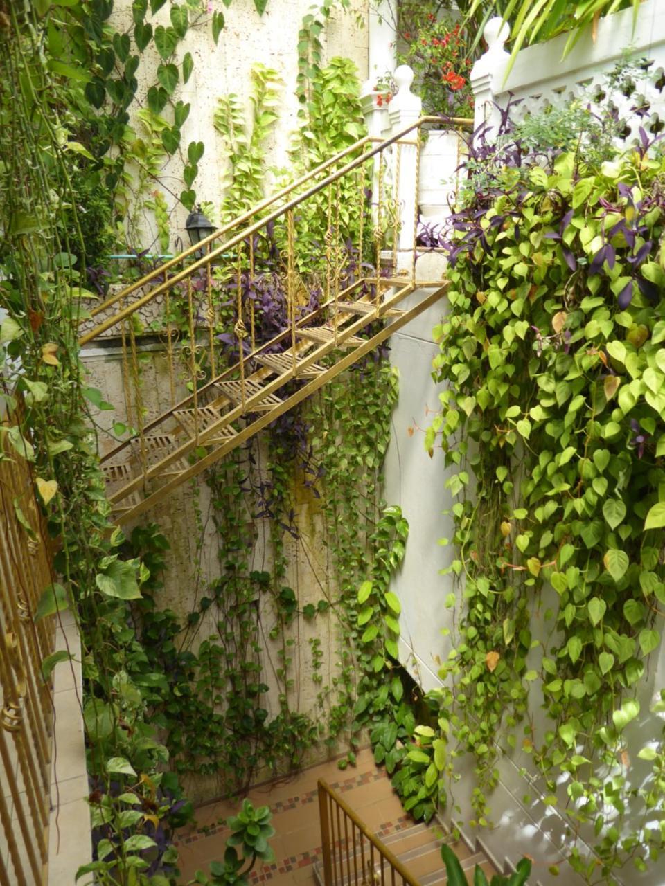 Casa Mary Hotel Cartagena Luaran gambar
